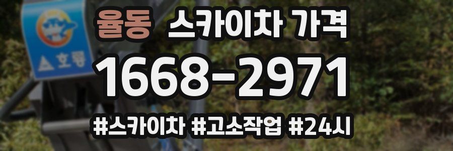 율동 스카이차 가격