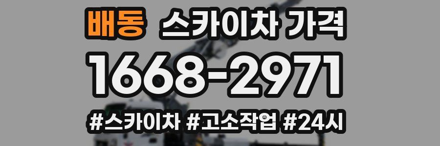 배동 스카이차 가격