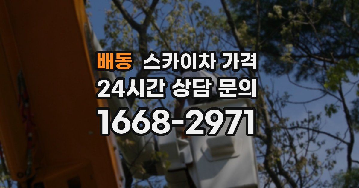 배동 스카이차 가격