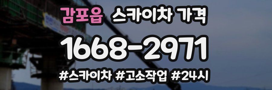 감포읍 스카이차 가격