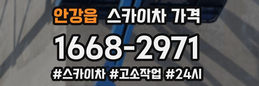 안강읍 스카이차 가격