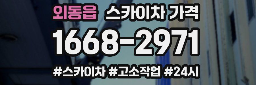 외동읍 스카이차 가격