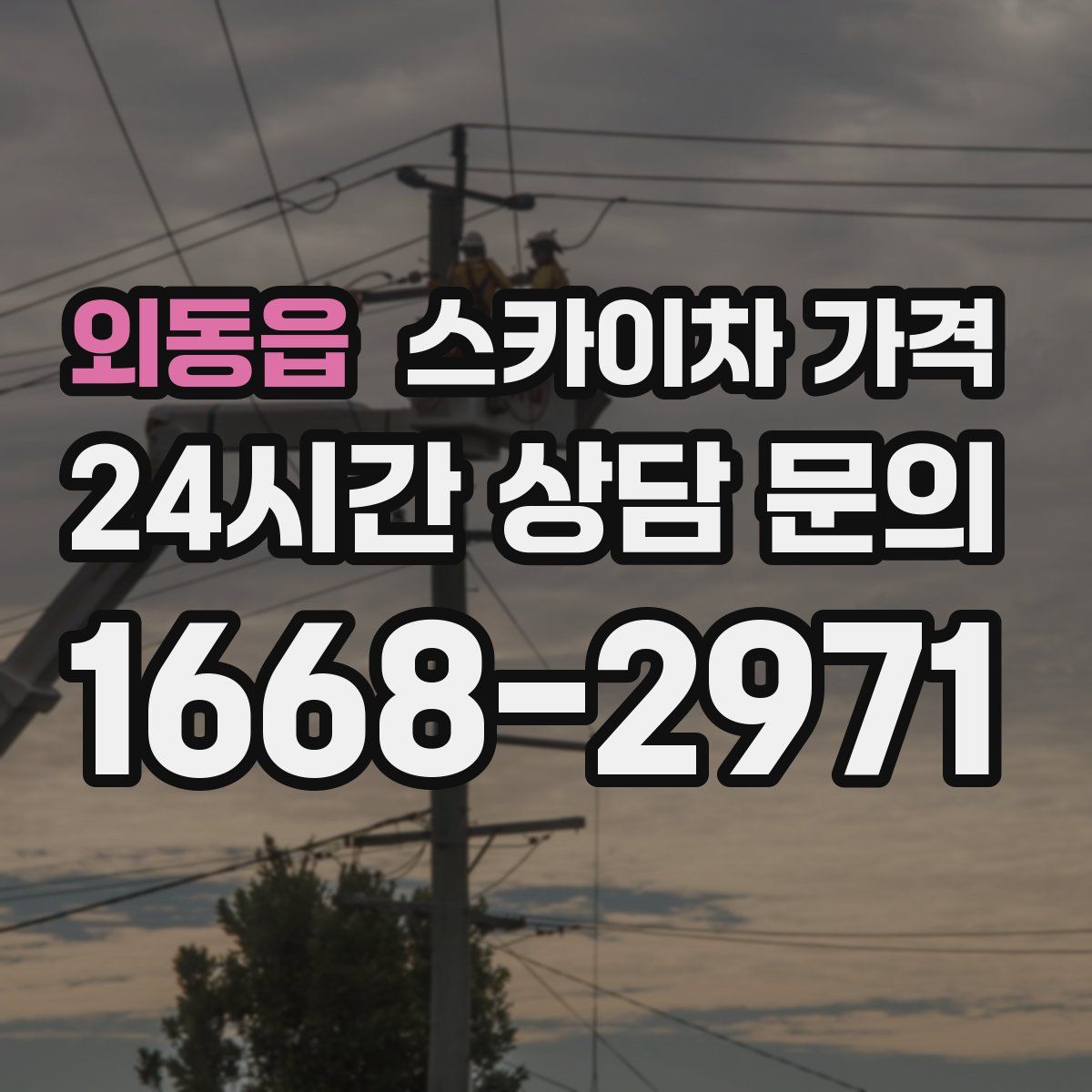 외동읍 스카이차 가격