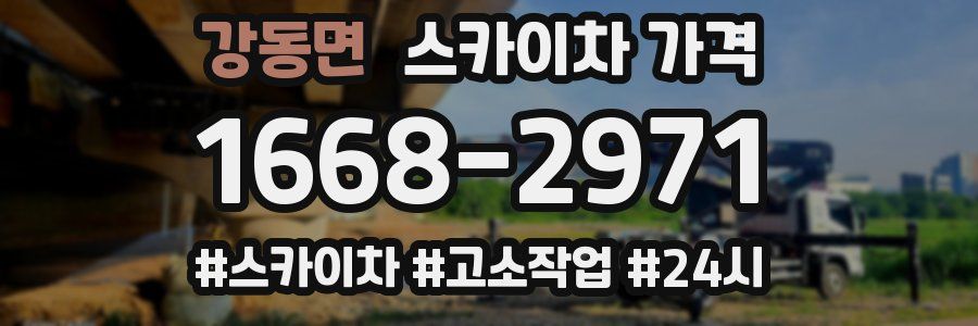 강동면 스카이차 가격