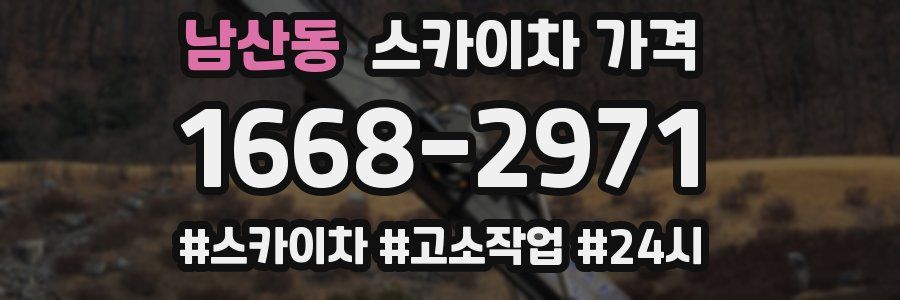 남산동 스카이차 가격