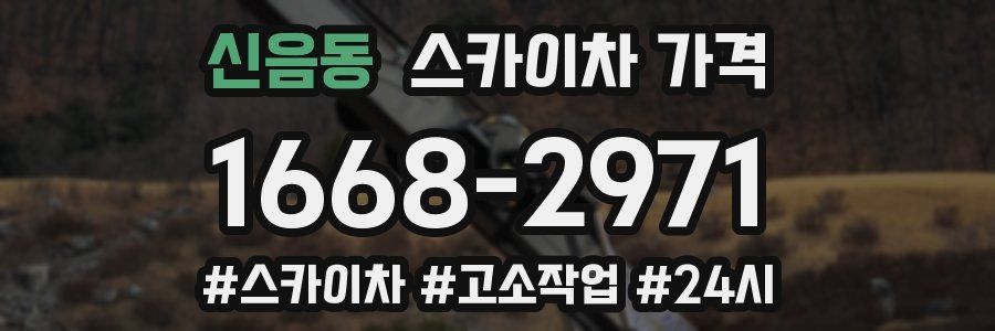 신음동 스카이차 가격