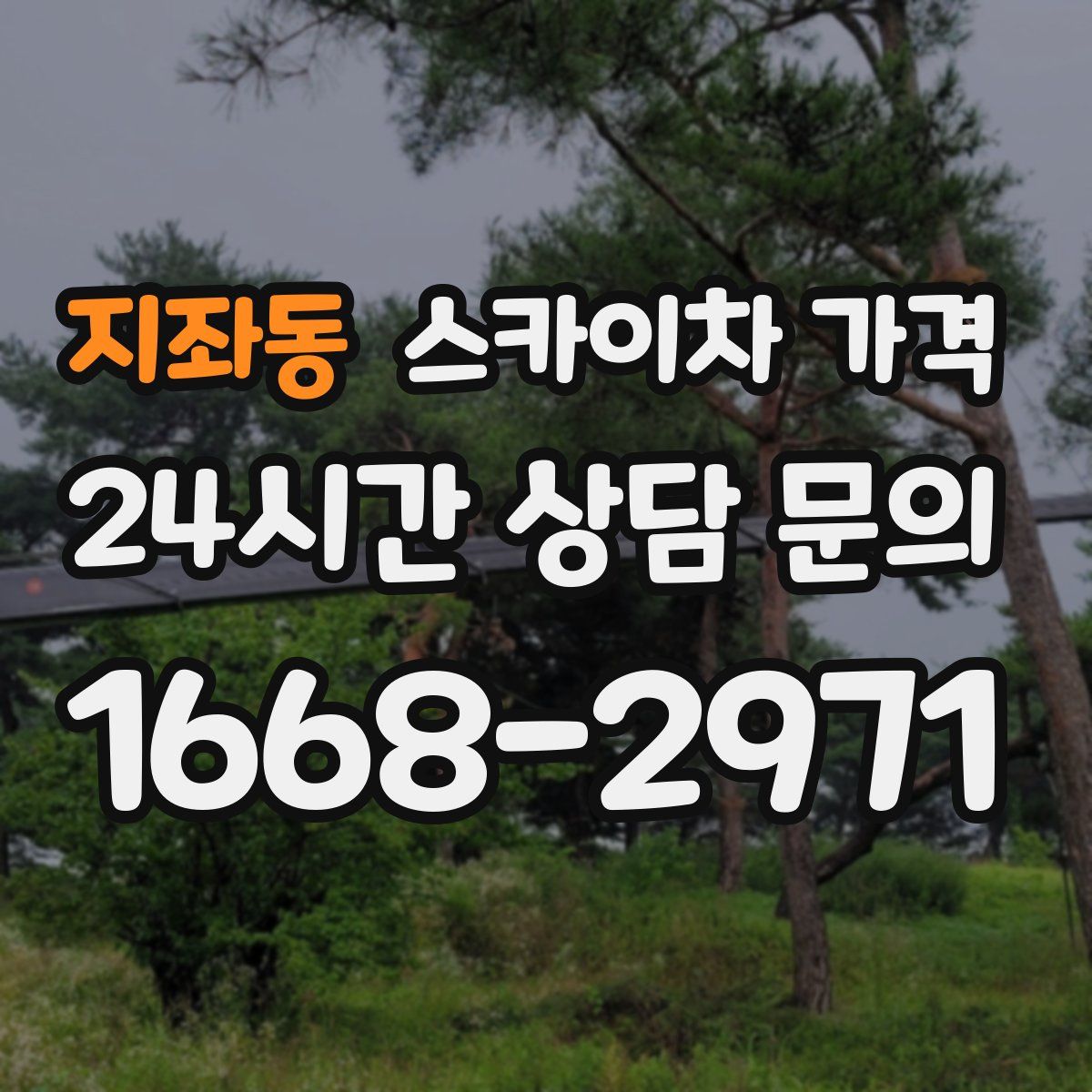 지좌동 스카이차 가격