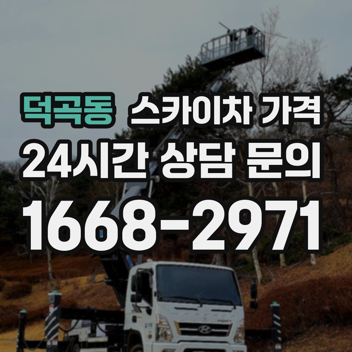 덕곡동 스카이차 가격 수목 전정 작업에서 확인할 항목