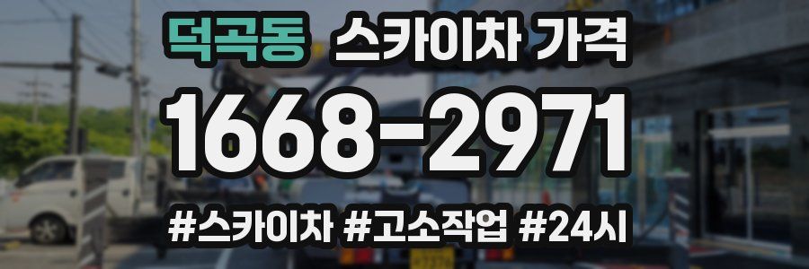 덕곡동 스카이차 가격