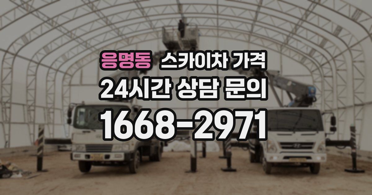 응명동 스카이차 가격