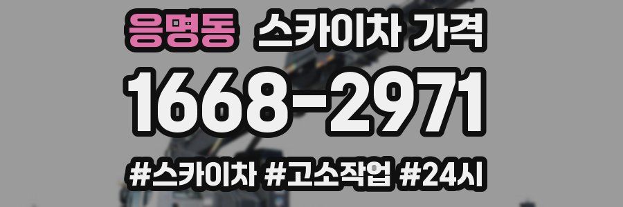 응명동 스카이차 가격