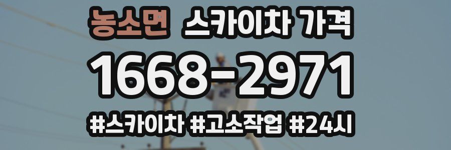 농소면 스카이차 가격