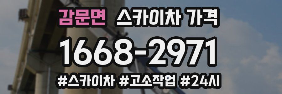 감문면 스카이차 가격