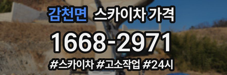 감천면 스카이차 가격