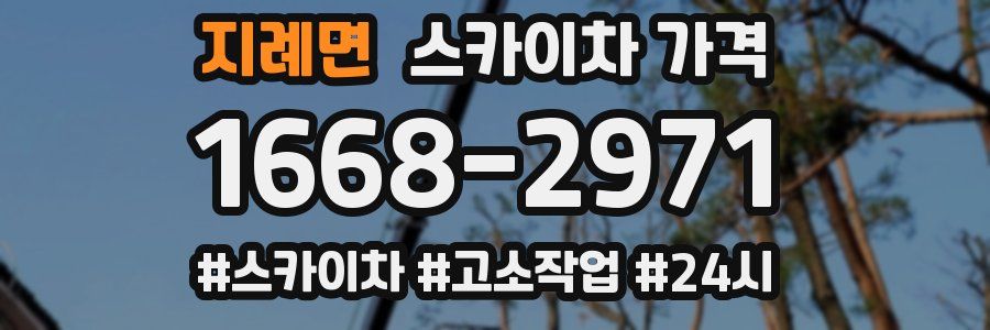 지례면 스카이차 가격