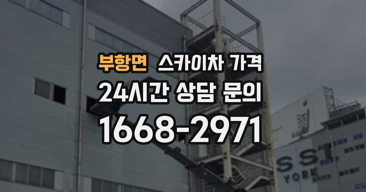 부항면 스카이차 가격