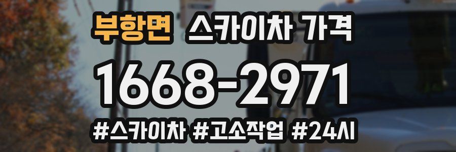 부항면 스카이차 가격