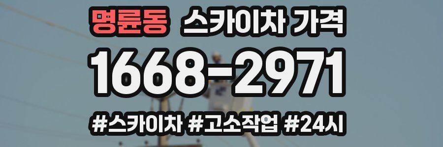 명륜동 스카이차 가격