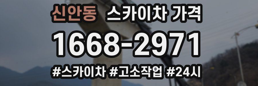 신안동 스카이차 가격