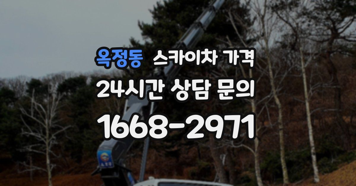 옥정동 스카이차 가격