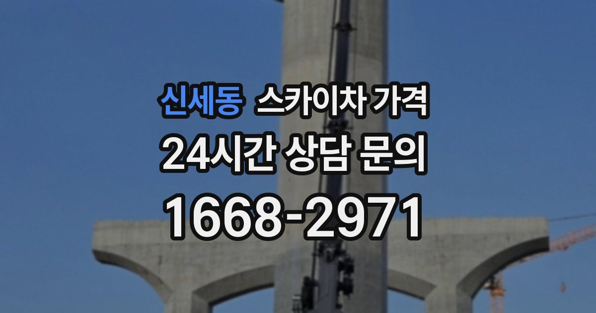 신세동 스카이차 가격