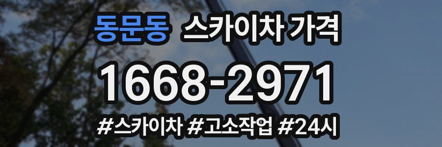 동문동 스카이차 가격