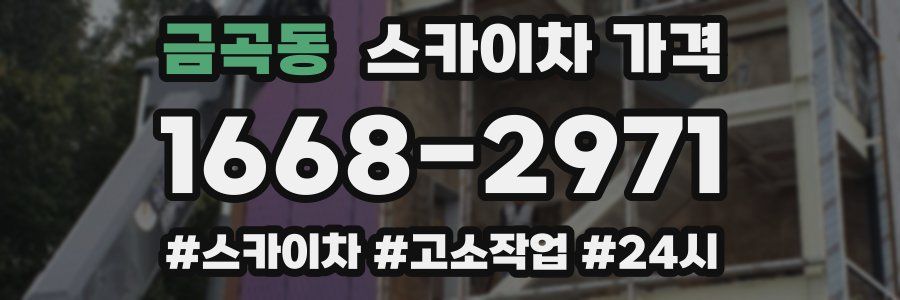 금곡동 스카이차 가격