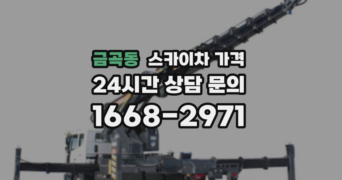 금곡동 스카이차 가격