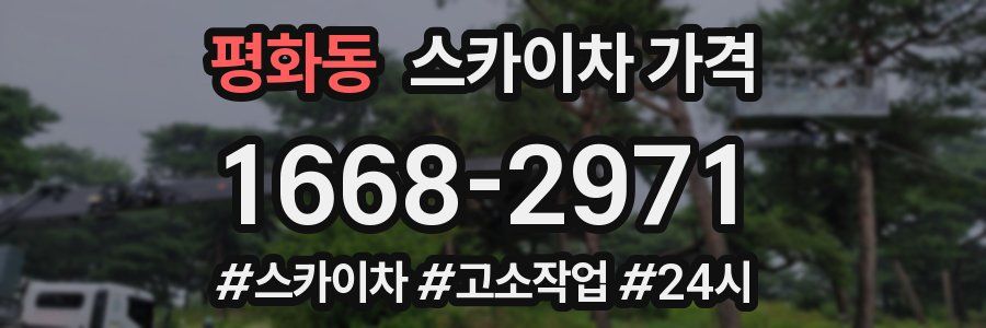 평화동 스카이차 가격