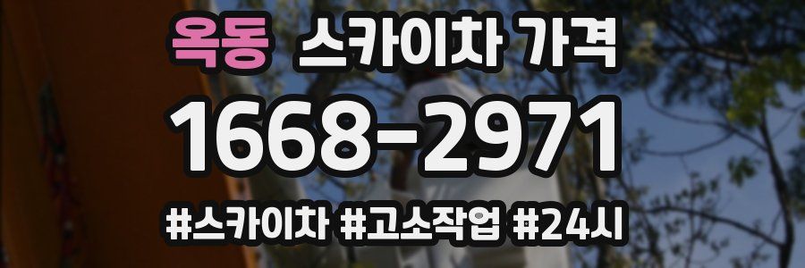 옥동 스카이차 가격