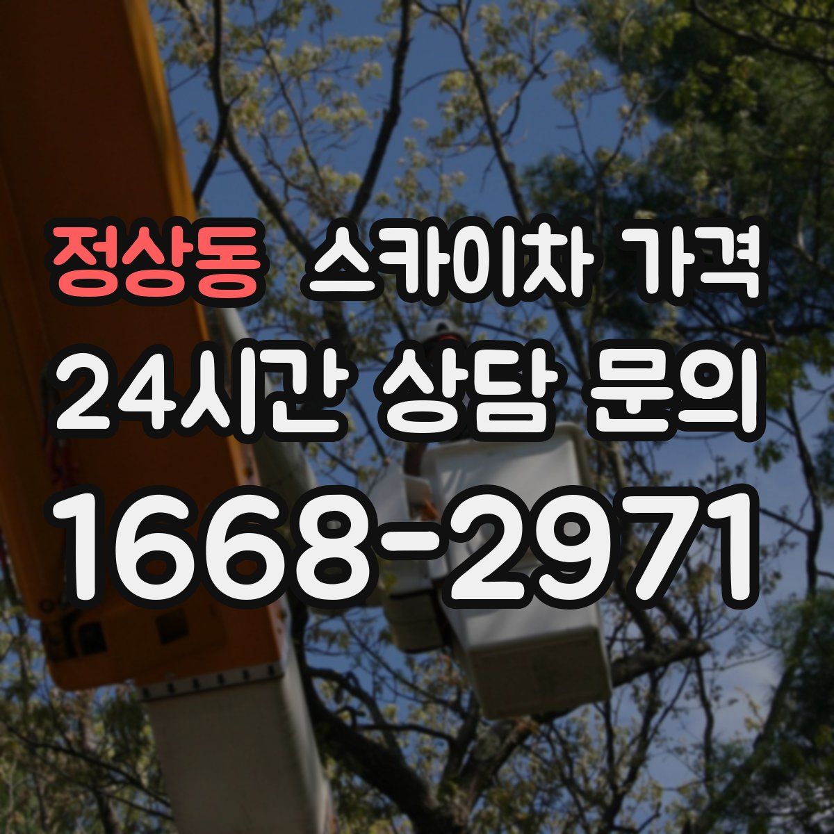 정상동 스카이차 가격