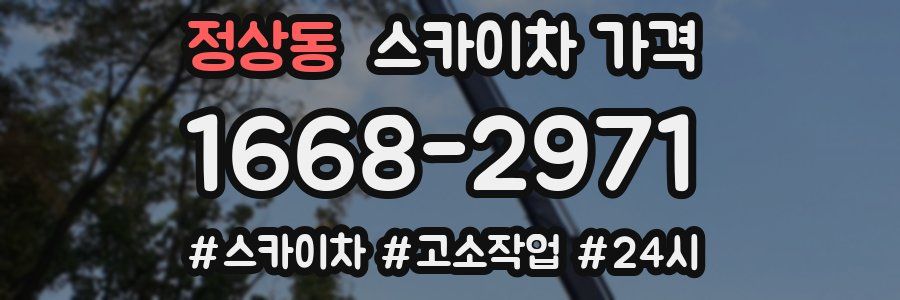 정상동 스카이차 가격