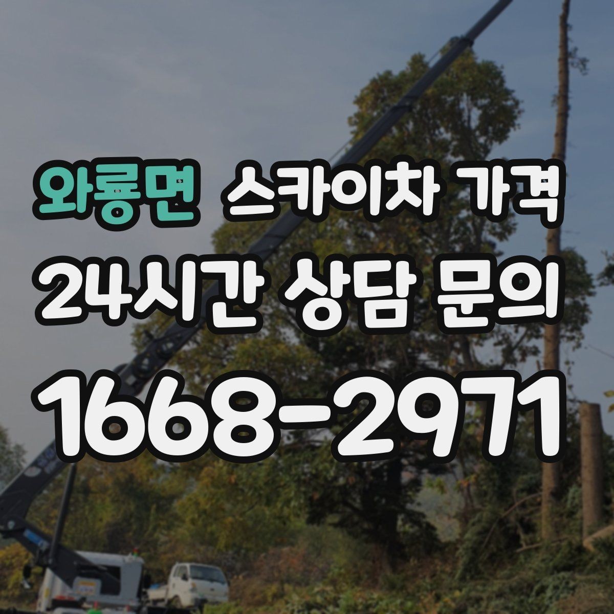 와룡면 스카이차 가격 캐노피·차양이 있으면 작업이 달라지는 이유