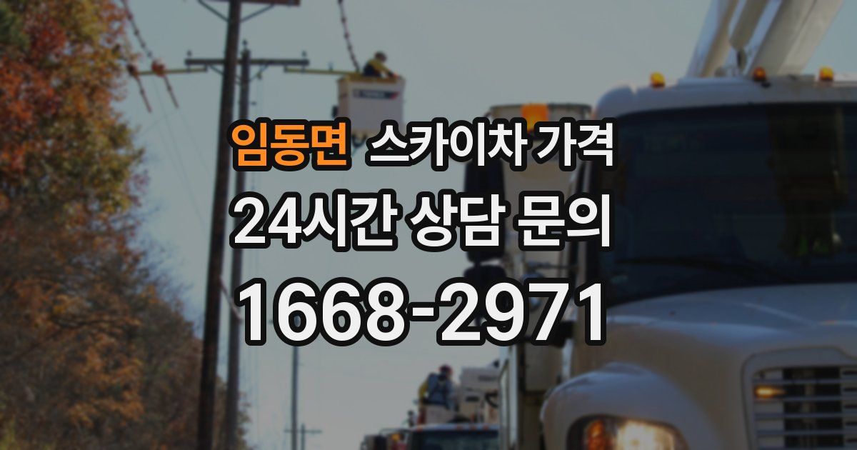 임동면 스카이차 가격