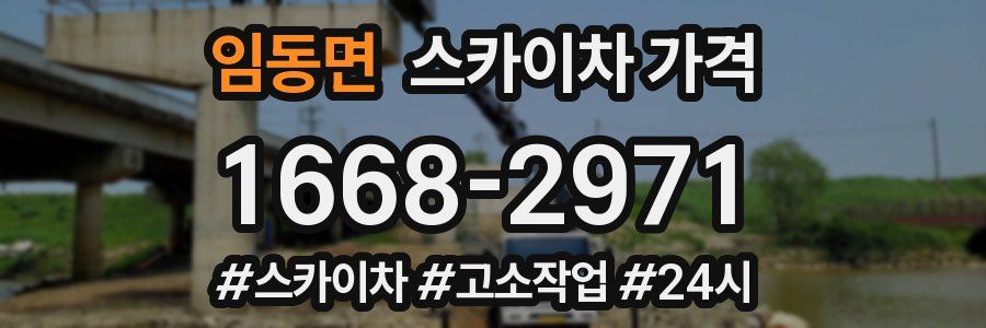 임동면 스카이차 가격