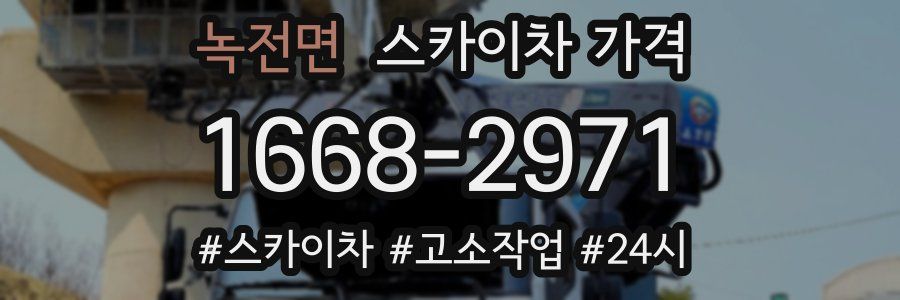 녹전면 스카이차 가격