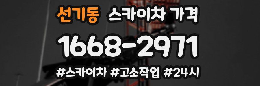 선기동 스카이차 가격