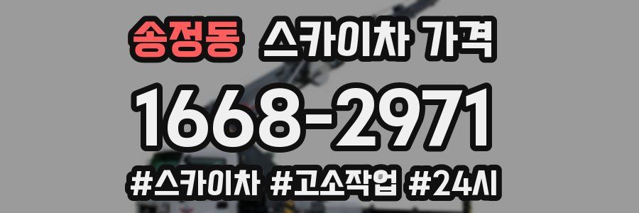 송정동 스카이차 가격