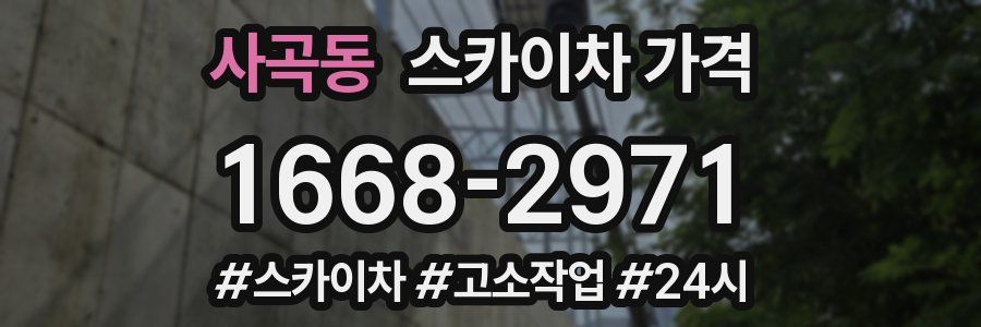 사곡동 스카이차 가격