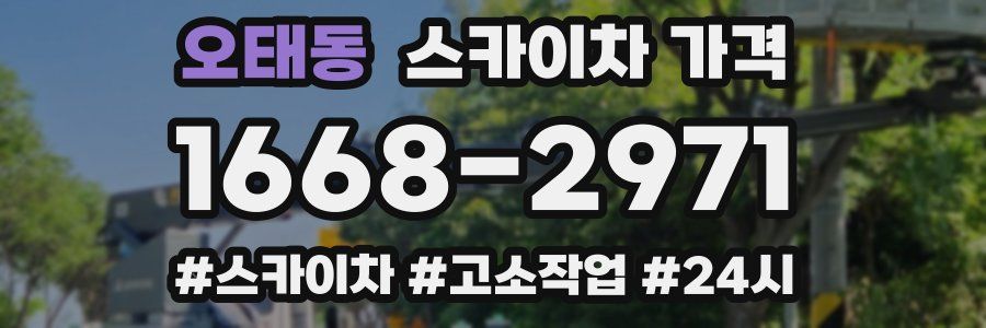 오태동 스카이차 가격