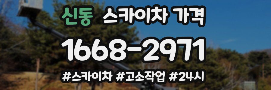 신동 스카이차 가격