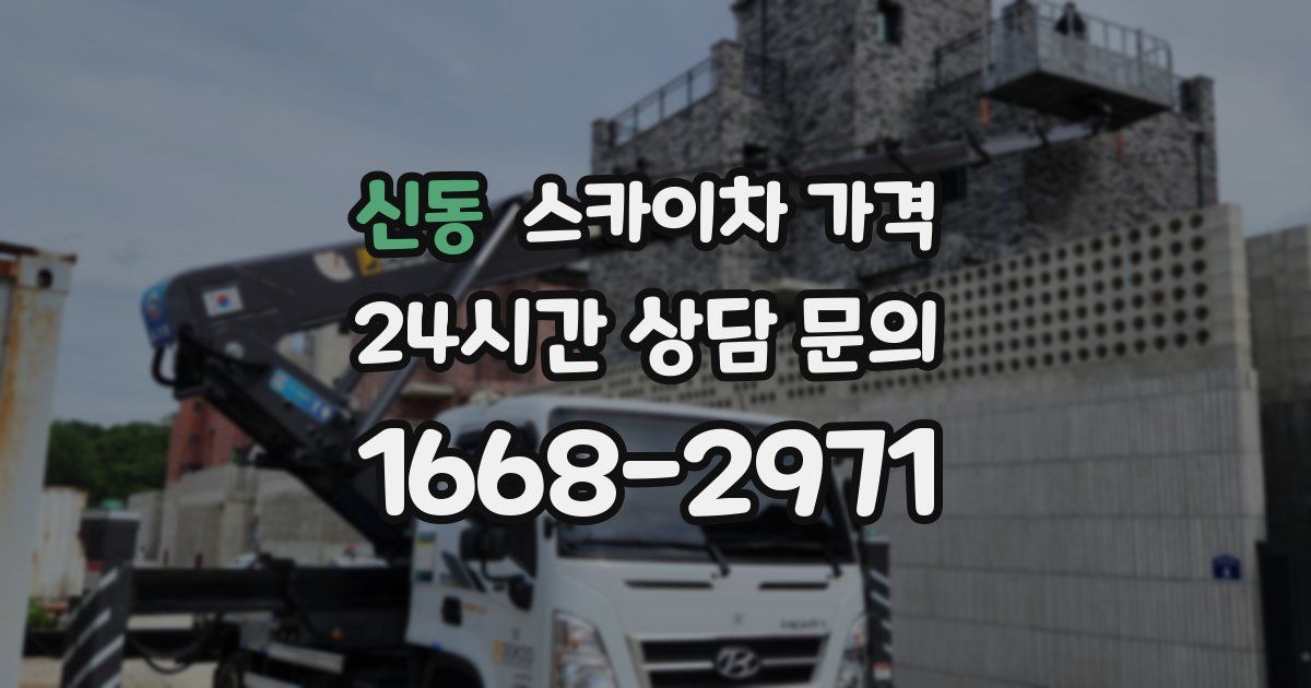 신동 스카이차 가격