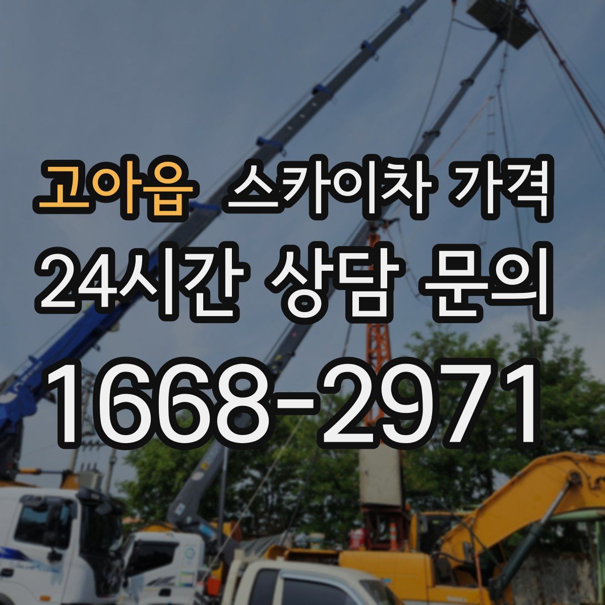 고아읍 스카이차 가격