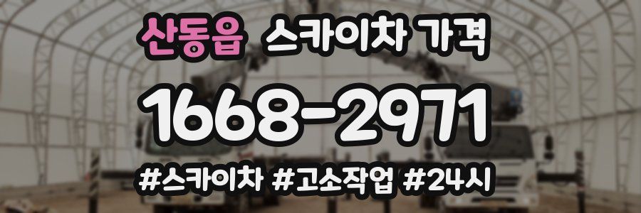 산동읍 스카이차 가격