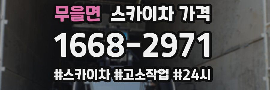 무을면 스카이차 가격