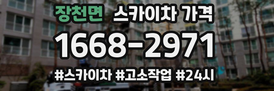 장천면 스카이차 가격