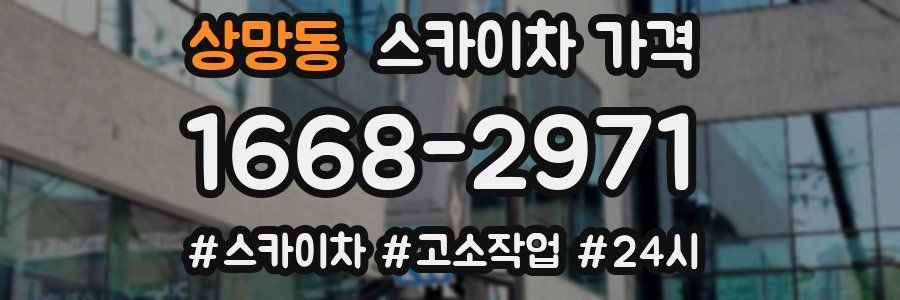 상망동 스카이차 가격