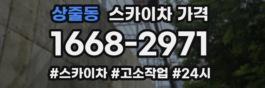 상줄동 스카이차 가격