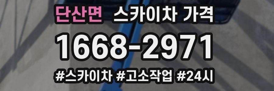 단산면 스카이차 가격