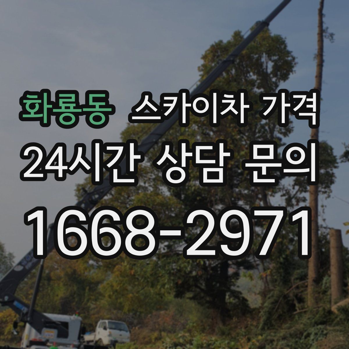 화룡동 스카이차 가격